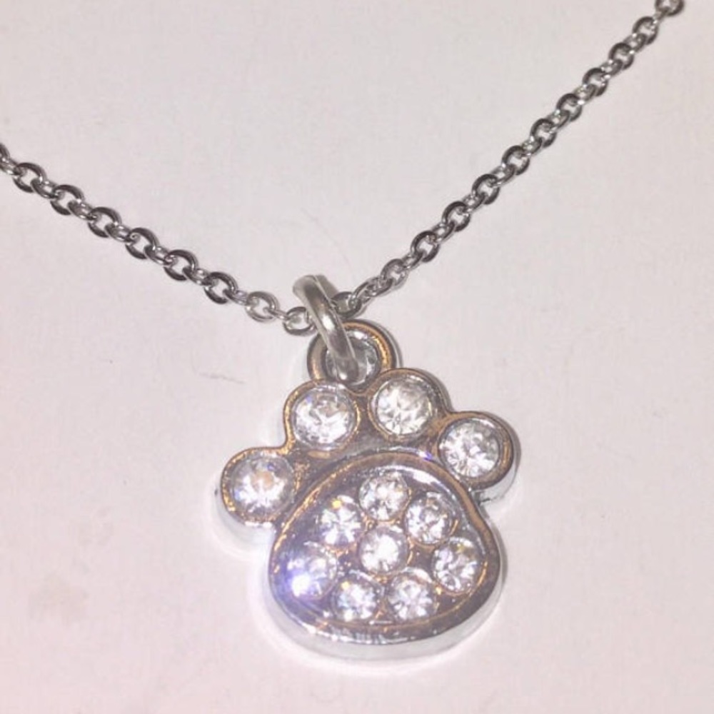 Stainless steel and crystal paw necklace